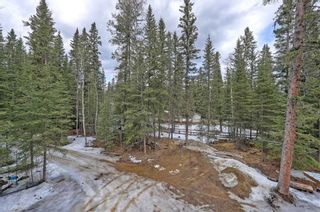Photo 42: 136 5417 Highway 579: Rural Mountain View County Detached for sale : MLS®# A2122272