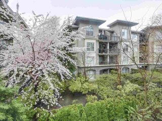 Photo 19: 205 2959 GLEN Drive in Coquitlam: North Coquitlam Condo for sale in "THE PARC" : MLS®# R2155807