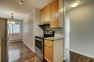 Photo 4: 109 835 19 Avenue SW in Calgary: Lower Mount Royal Apartment for sale : MLS®# A2053812