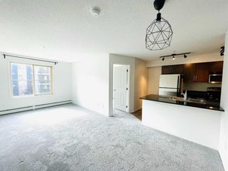 Photo 3: 317 7110 80 Avenue NE in Calgary: Saddle Ridge Apartment for sale : MLS®# A2081695