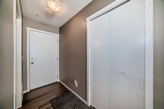 Photo 31: 2214 4641 128 Avenue NE in Calgary: Skyview Ranch Apartment for sale : MLS®# A2120636