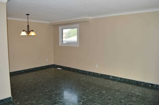 Photo 8: 16 Homestead Avenue in Toronto: West Hill House (Bungalow) for lease (Toronto E10)  : MLS®# E4911083