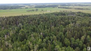 Photo 9: Hwy 43 Rge Rd 51: Rural Lac Ste. Anne County Rural Land/Vacant Lot for sale : MLS®# E4308086