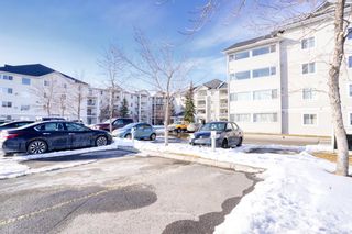 Photo 3: 2408 6224 17 Avenue SE in Calgary: Red Carpet Apartment for sale : MLS®# A2032660