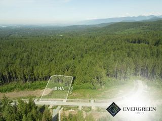 Photo 2: 12675 271 Street in Maple Ridge: Northeast Land for sale in "Evergreen Estates" : MLS®# R2897163
