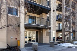 Photo 31: 3206 4975 130 Avenue SE in Calgary: McKenzie Towne Apartment for sale : MLS®# A2103386