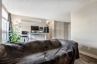 Photo 7: 206 314 14 Street NW in Calgary: Hillhurst Apartment for sale : MLS®# A1190465