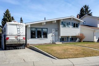 Photo 35: 235 Queen Charlotte Place SE in Calgary: Queensland Detached for sale : MLS®# A1094848