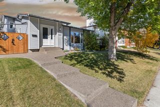 Photo 4: 224 Templewood Road NE in Calgary: Temple Detached for sale : MLS®# A2005104