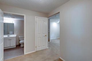 Photo 40: 131 Citadel Crest Green NW in Calgary: Citadel Detached for sale : MLS®# A1124177