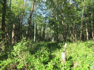 Photo 8: RR 223 Twp Rd 612: Rural Thorhild County Vacant Lot/Land for sale : MLS®# E4318874