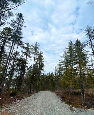 Photo 4: Lot 51 Meek Arm Trail in East Uniacke: 105-East Hants/Colchester West Vacant Land for sale (Halifax-Dartmouth)  : MLS®# 202305547