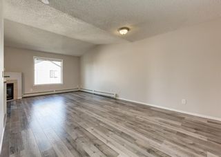 Photo 4: 306 4306 Valleyview Park SE in Calgary: Dover Apartment for sale : MLS®# A2002811