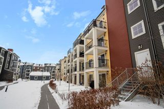 Photo 28: 6402 755 Copperpond Boulevard SE in Calgary: Copperfield Apartment for sale : MLS®# A2032199