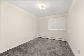 Photo 12: 223 6108 53 Street: Olds Apartment for sale : MLS®# A2094155