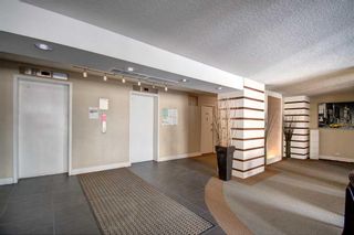 Photo 19: 402 1123 13 Avenue SW in Calgary: Beltline Apartment for sale : MLS®# A2121271