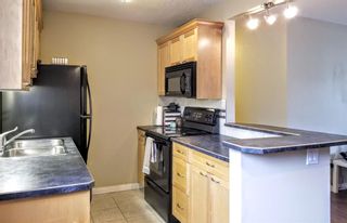 Photo 7: 203 1706 11 Avenue SW in Calgary: Sunalta Apartment for sale : MLS®# A1219893