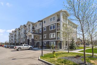 Photo 35: 4209 522 Cranford Drive SE in Calgary: Cranston Apartment for sale : MLS®# A2048805