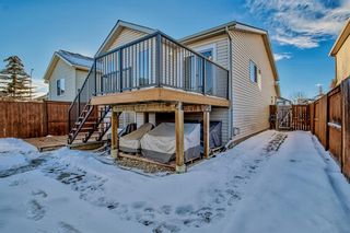 Photo 40: 193 Covehaven View NE in Calgary: Coventry Hills Detached for sale : MLS®# A2017947