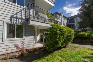 Photo 10: 110 40160 WILLOW Crescent in Squamish: Garibaldi Estates Condo for sale in "Diamond Head Place" : MLS®# R2878659