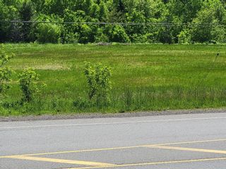 Photo 2: 5180 Highway 4 in Alma: 108-Rural Pictou County Vacant Land for sale (Northern Region)  : MLS®# 202213864
