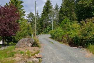 Photo 65: 5380 Basinview Hts in Sooke: Sk Saseenos House for sale : MLS®# 948728