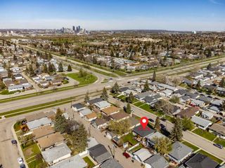 Photo 41: 23 Dover Meadow Close SE in Calgary: Dover Detached for sale : MLS®# A2131543