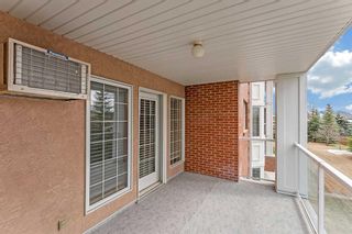 Photo 15: 240 6868 Sierra Morena Boulevard SW in Calgary: Signal Hill Apartment for sale : MLS®# A2127784