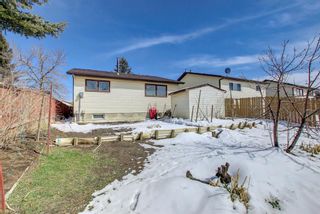 Photo 40: 4531 43 Street NE in Calgary: Whitehorn Detached for sale : MLS®# A1209196