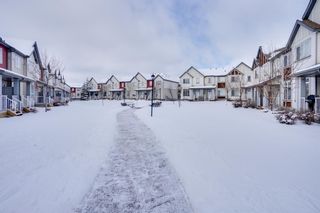 Photo 8: 275 Copperstone Cove SE in Calgary: Copperfield Row/Townhouse for sale : MLS®# A1190875