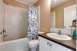Photo 24: 117 Canoe Square SW: Airdrie Semi Detached for sale : MLS®# A1219402