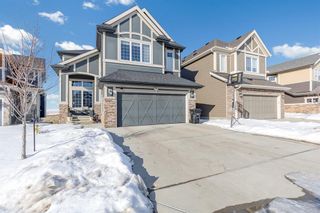 Photo 49: 14 Evansborough View NW in Calgary: Evanston Detached for sale : MLS®# A2029926