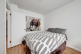 Photo 17: 2203 35 Street SE in Calgary: Southview Detached for sale : MLS®# A2050129