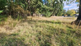 Photo 7: Lot 4 & 5 Inverness Rd in North Saanich: NS Ardmore Land for sale : MLS®# 945901