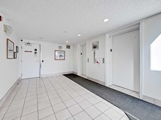 Photo 3: 2310 2310 Hawksbrow Point NW in Calgary: Hawkwood Apartment for sale : MLS®# A2122809