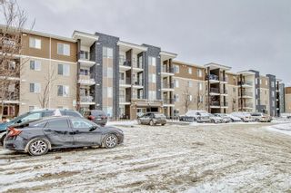 Photo 3: 303 7180 80 Avenue NE in Calgary: Saddle Ridge Apartment for sale : MLS®# A2023419