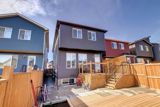 Photo 49: 75 Howse Crescent NE in Calgary: Livingston Detached for sale : MLS®# A1218001