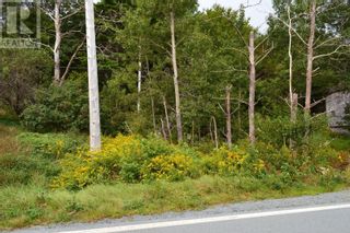 Photo 2: Lot Highway 332|PID#60185071 in East Lahave: Vacant Land for sale : MLS®# 202319457