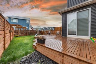 Photo 31: 18 Howse Terrace NE in Calgary: Livingston Detached for sale : MLS®# A2133570