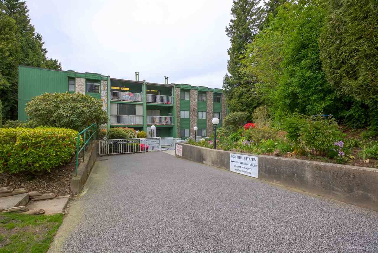 Main Photo: 111 3901 CARRIGAN Court in Burnaby: Government Road Condo for sale in "LOUGHEED ESTATES II" (Burnaby North)  : MLS®# R2171143