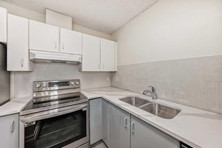 Photo 8: 8 219 Village Terrace SW in Calgary: Patterson Apartment for sale : MLS®# A2114641