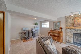 Photo 38: 320 Bermuda Drive NW in Calgary: Beddington Heights Detached for sale : MLS®# A1211726