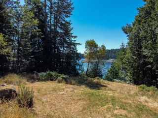 Photo 65: 1361 Bodington Rd in Whaletown: Isl Cortes Island House for sale (Islands)  : MLS®# 882842