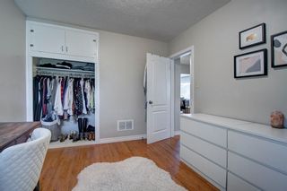 Photo 18: 503 35 Street NW in Calgary: Parkdale Detached for sale : MLS®# A1237524
