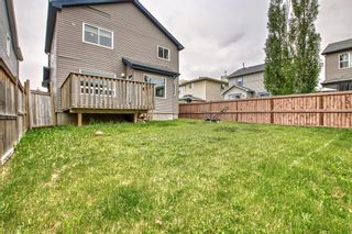 Photo 41: 2303 sagewood Heights SW: Airdrie Detached for sale : MLS®# A2053908