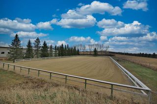 Photo 18: 16117 552 Highway W: Rural Foothills County Detached for sale : MLS®# A2094989