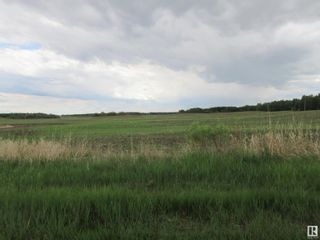 Photo 11: Twp Rd 612 RR 223: Rural Thorhild County Rural Land/Vacant Lot for sale : MLS®# E4299660