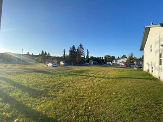 Photo 5: 4516 47 Avenue: Sylvan Lake Residential Land for sale : MLS®# A2082981