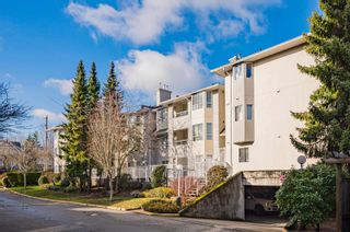 Photo 2: 102 6440 197 Street in Langley: Willoughby Heights Condo for sale : MLS®# R2872059