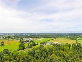 Photo 16: 621 194 Street in Surrey: Hazelmere House for sale in "HAZELMERE VALLEY" (South Surrey White Rock)  : MLS®# R2170440